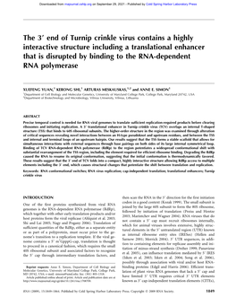 The 39 End of Turnip Crinkle Virus Contains a Highly Interactive