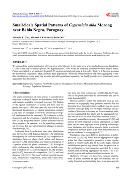 Small-Scale Spatial Patterns of Copernicia Alba Morong Near Bahia Negra, Paraguay