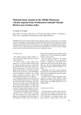 Mammal Fauna Remains in the Middle Pleistocene Volcanic Deposits from Northeastern Sabatini Volcanic District Area (Latium, Italy)