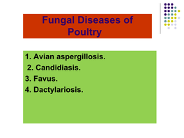 Fungal Diseases of Poultry