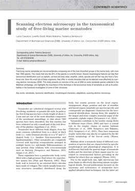 Scanning Electron Microscopy in the Taxonomical Study of Free-Living Marine Nematodes