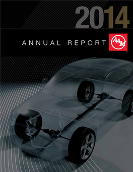 View Annual Report