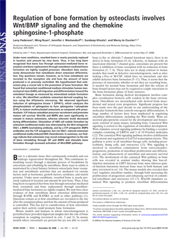 Regulation of Bone Formation by Osteoclasts Involves Wnt/BMP Signaling and the Chemokine Sphingosine-1-Phosphate