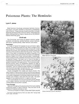 Poisonous Plants: the Hemlocks
