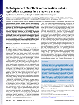 Ftsk-Dependent Xercd-Dif Recombination Unlinks Replication Catenanes in a Stepwise Manner