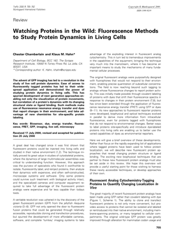 Fluorescence Methods to Study Protein Dynamics in Living Cells