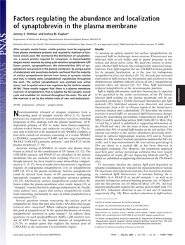 Factors Regulating the Abundance and Localization of Synaptobrevin in the Plasma Membrane