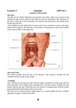 Lecture 5 Anatomy احمد فاضل د