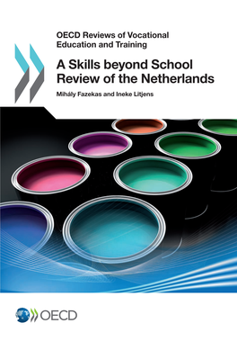A Skills Beyond School Review of the Netherlands