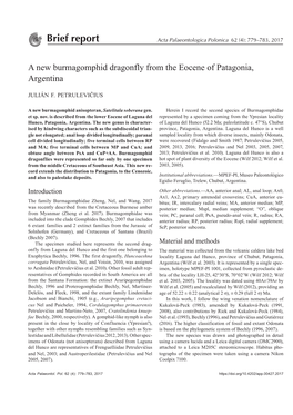 A New Burmagomphid Dragonfly from the Eocene of Patagonia, Argentina