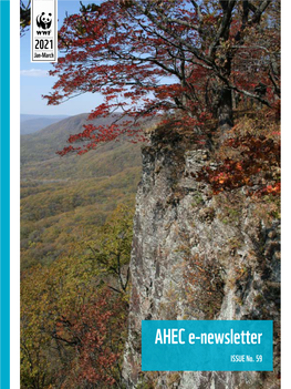 AHEC E-Newsletter ISSUE No