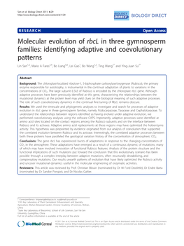 Molecular Evolution of Rbcl in Three Gymnosperm Families: Identifying