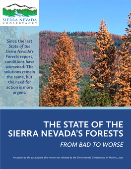 The State of the Sierra Nevada's Forests