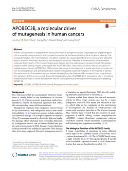 APOBEC3B, a Molecular Driver of Mutagenesis in Human Cancers Jun Zou1* , Chen Wang1, Xiangyi Ma2, Edward Wang3 and Guang Peng4
