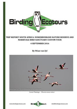 Trip Report South Africa: Suikerbosrand Nature Reserve and Marievale Bird Sanctuary Custom Tour 4 September 2016