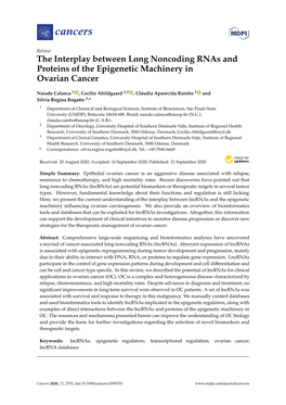 The Interplay Between Long Noncoding Rnas and Proteins of the Epigenetic Machinery in Ovarian Cancer