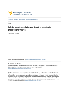 Role for Protein Prenylation and 