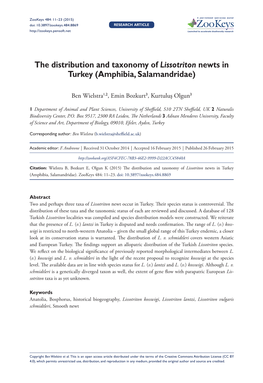 The Distribution and Taxonomy of Lissotriton Newts in Turkey