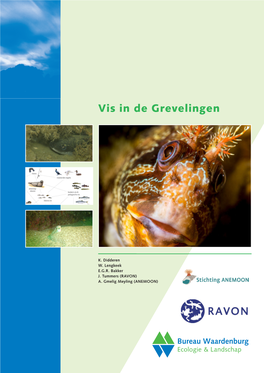 Rapport Vis in De Grevelingen