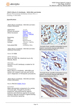 MUC3 (Mucin 3) Antibody - with BSA and Azide Mouse Monoclonal Antibody [Clone M3.1 ] Catalog # AH11891