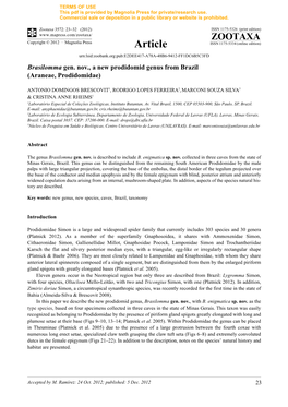 Brasilomma Gen. Nov., a New Prodidomid Genus from Brazil (Araneae, Prodidomidae)