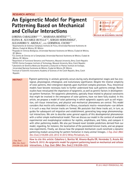 An Epigenetic Model for Pigment Patterning Based on Mechanical and Cellular Interactions LORENA CABALLERO1,2,3∗, MARIANA BEN´ITEZ3,4,5, ELENA R