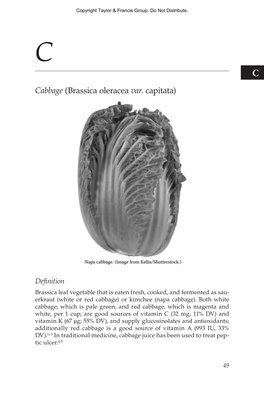 Cabbage (Brassica Oleracea Var. Capitata)