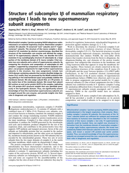 Structure of Subcomplex Iβ of Mammalian Respiratory Complex I Leads to New Supernumerary Subunit Assignments