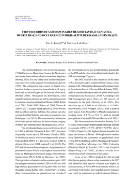 First Records of Albinism in Greyheaded Tayra (Carnivora, Mustelidae) and Occurrence in High-Altitude Grassland in Brazil