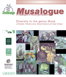 Musalogue: Diversity in the Genus Musa