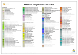 TASVEG 4.0 Vegetation Communities