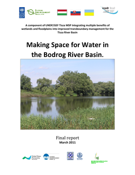 Making Space for Water in the Bodrog River Basin