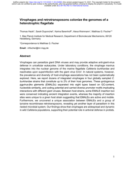 Virophages and Retrotransposons Colonize the Genomes of a Heterotrophic Flagellate