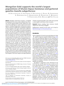 Mongolian Gobi Supports the World's Largest Populations of Khulan Equus Hemionus and Goitered Gazelles Gazella Subgutturosa