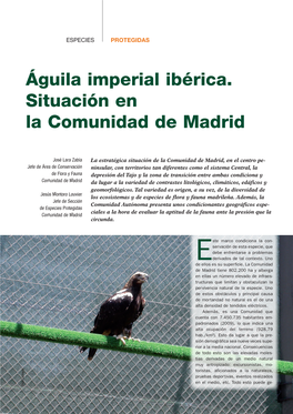 Águila Imperial Ibérica. Situación En La Comunidad De Madrid