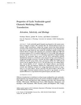 Properties of Cyclic Nucleotide-Gated Channels Mediating Olfactory Transduction