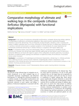 Comparative Morphology of Ultimate and Walking Legs in the Centipede Lithobius Forficatus (Myriapoda) with Functional Implicatio