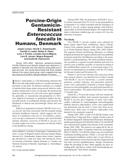 Enterococcus Faecalis In