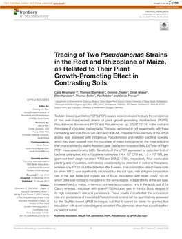 Tracing of Two Pseudomonas Strains in the Root and Rhizoplane of Maize, As Related to Their Plant Growth-Promoting Effect in Contrasting Soils