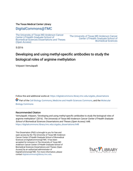 Developing and Using Methyl-Specific Antibodies to Study the Biological
