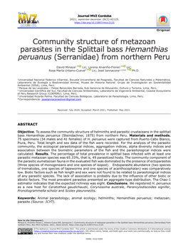 Serranidae) from Northern Peru