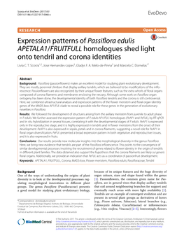 Expression Patterns of Passiflora Edulis APETALA1/FRUITFULL Homologues Shed Light Onto Tendril and Corona Identities Livia C