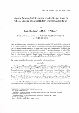 Historical Japanese Fish Specimens from the Sagami Sea in the National Museum of Natural History, Smithsonian Institution