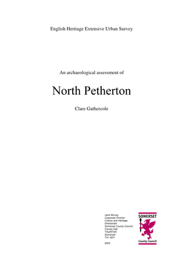 Download North Petherton Report