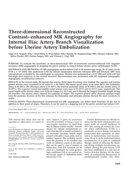 Three-Dimensional Reconstructed Contrast–Enhanced MR Angiography for Internal Iliac Artery Branch Visualization Before Uterine Artery Embolization