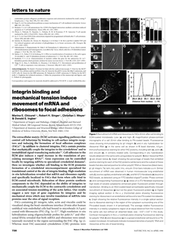 Integrin Binding and Mechanical Tension Induce Movement of Mrna and Ribosomes to Focal Adhesions Marina E