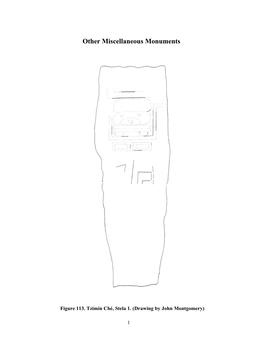 The Hieroglyphic Inscriptions of Southern Belize