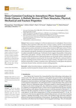 Stress Corrosion Cracking in Amorphous Phase Separated Oxide Glasses: a Holistic Review of Their Structures, Physical, Mechanical and Fracture Properties