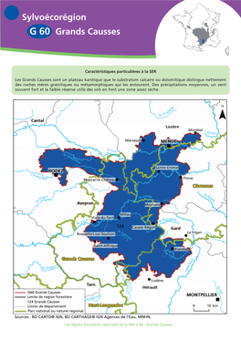 Sylvoécorégion G 60 Grands Causses