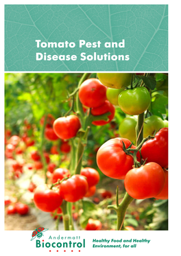 Tomato Pest and Disease Solutions